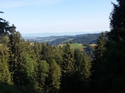 emmental 20195.5